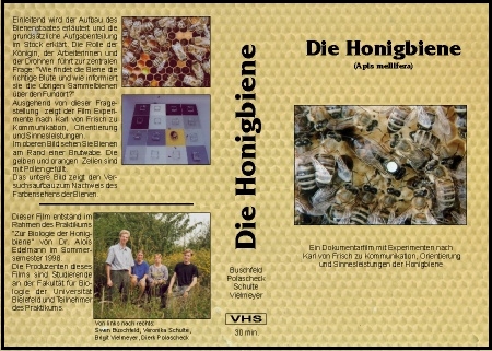 VideoCover video.jpg